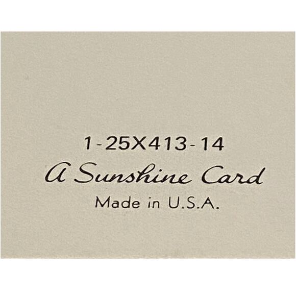 Vtg MCM Get Well Card Unused USA 1960s Chicken Retro Humor Sunshine Studio - Picture 4 of 5